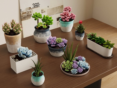  盆栽 多肉 桌面绿植su模型 