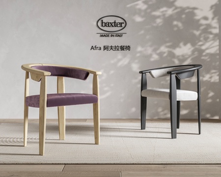  Baxter afra 阿夫拉餐椅 单椅 餐椅 扶手椅 休闲3d模型 