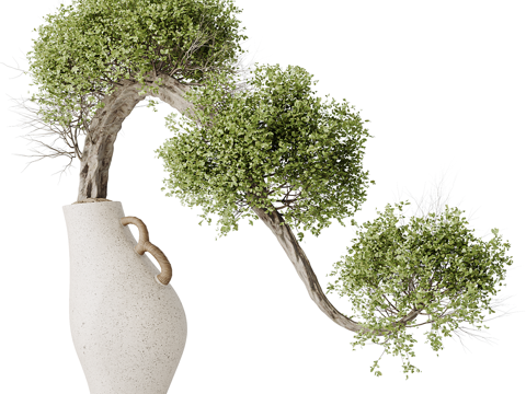  新中式绿植盆景盆栽3d模型 