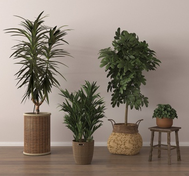  盆栽 盆景 绿植 植物su模型 