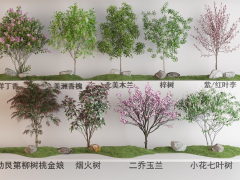  现代花树植物组合 梓树 洋丁香 美洲香槐 烟火树 北美木兰树su模型 