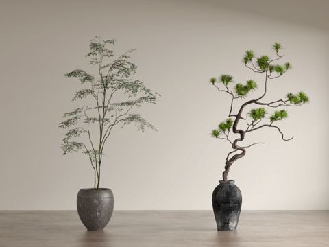  新中式花瓶花艺 盆栽 落地绿植 松树盆栽3d模型 