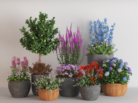  现代绿植盆栽组合 花盆 盆景 盆栽 花卉 蓝紫绣球花 风铃花su模型 