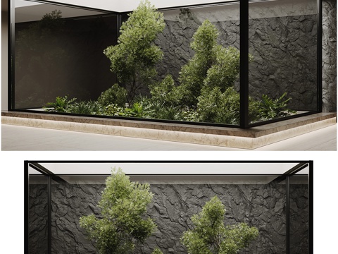  室内植物组合3d模型 