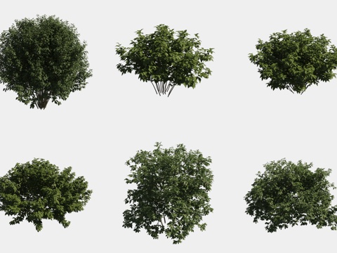  灌木球绿植组合3d模型 