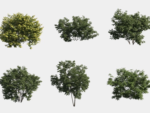  灌木球绿植组合3d模型 