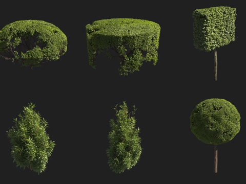  绿篱灌木3d模型 