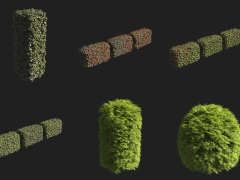  绿篱灌木3d模型 