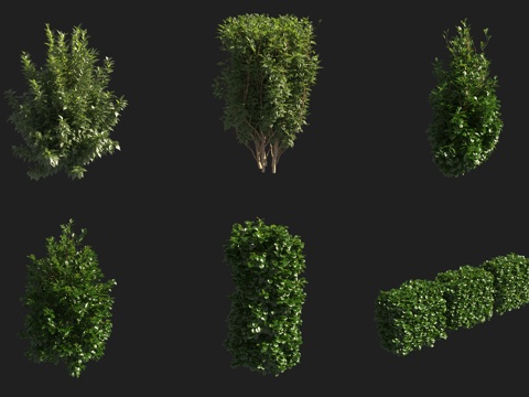  绿篱灌木3d模型 