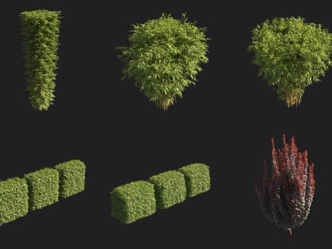  绿篱灌木3d模型 