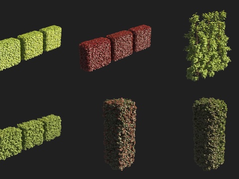  绿篱灌木3d模型 