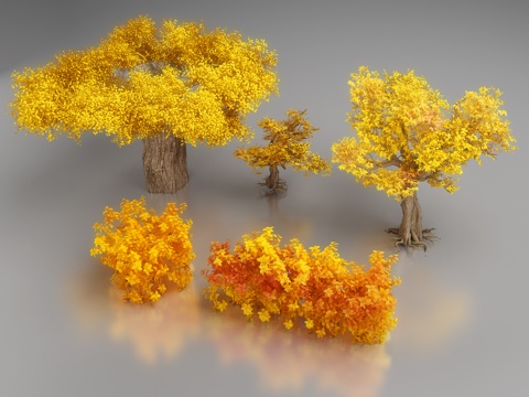  现代树  景观树   灌木 黄色树3d模型 