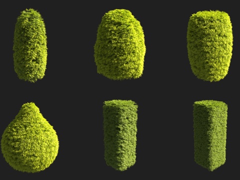  绿篱灌木3d模型 