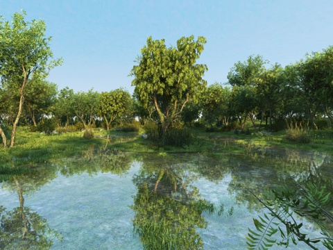  现代湿地公园景观3d模型 