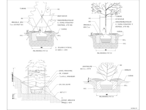  種植說(shuō)明大樣圖cad施工圖 
