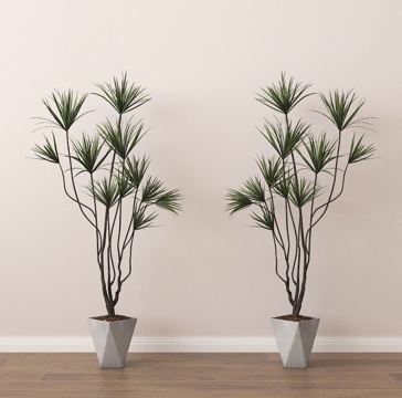  盆栽 盆景 绿植 植物3d模型 