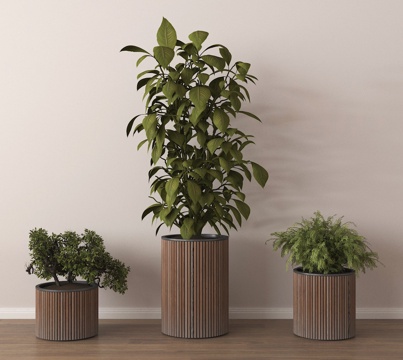  盆栽 盆景 绿植 植物3d模型 