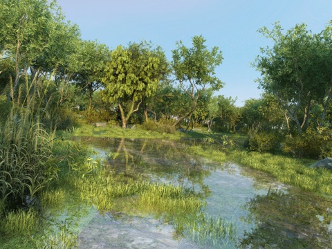  现代湿地公园景观3d模型 