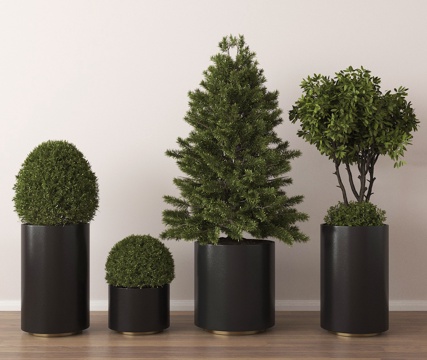  盆栽 盆景 绿植 植物3d模型 