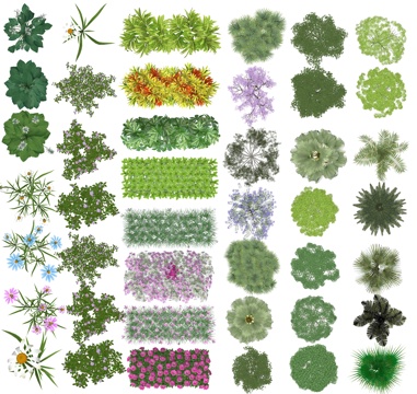  彩平平面植物PSD免抠图 