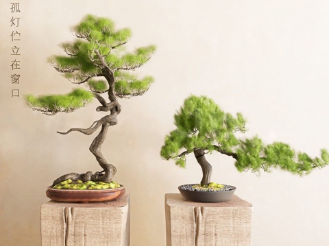  新中式盆栽 迎客松 绿植su模型 