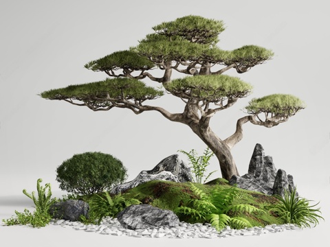  新中式庭院小品 禅意庭院景观 松树景观造景 松树 迎客松 室3d模型 