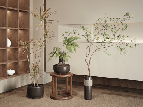  现代绿植盆栽3d模型 
