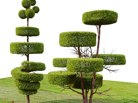  灌木 树木 植物 乔木3d模型 