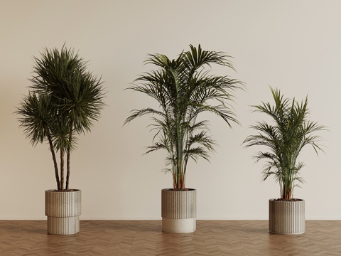  现代绿植盆栽3d模型 