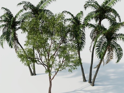  树景观树绿植树绿化树3d模型 