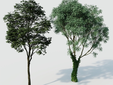  树景观树绿植树绿化树3d模型 