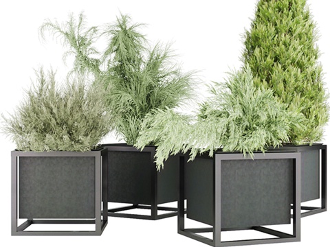  收集植物3d模型 