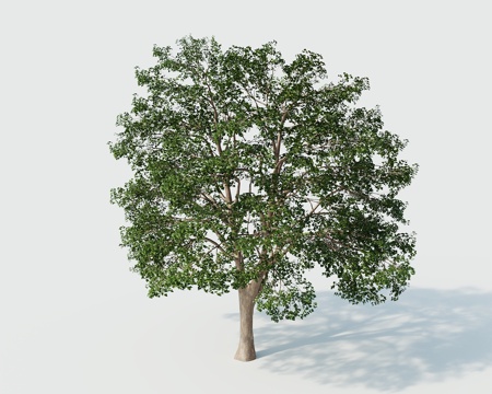  树景观树绿植树绿化树3d模型 