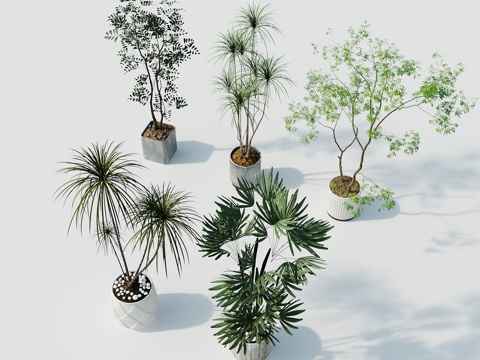  现代盆栽盆栽盆景室内盆栽户外盆栽绿植装饰3d模型 