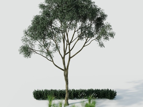  树景观树绿植树绿化树3d模型 
