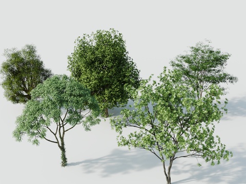  树景观树绿植树绿化树3d模型 