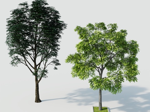  树景观树绿植树绿化树3d模型 
