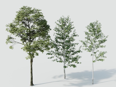  树景观树绿植树绿化树3d模型 