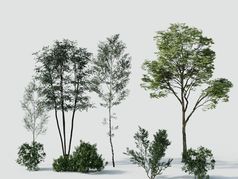  树景观树绿植树绿化树3d模型 