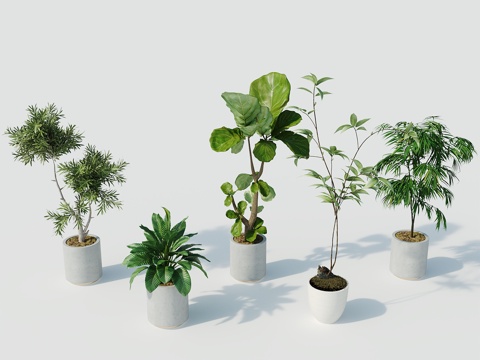  现代盆栽盆栽盆景室内盆栽户外盆栽绿植装饰3d模型 