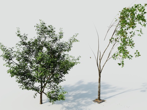  树景观树绿植树绿化树3d模型 