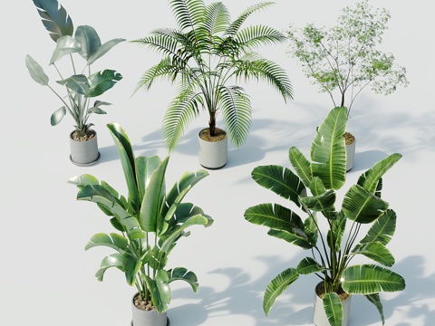  现代盆栽盆栽盆景室内盆栽户外盆栽绿植装饰3d模型 
