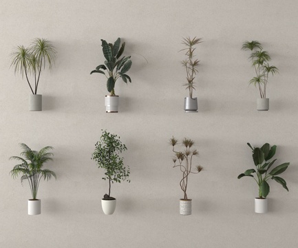  盆栽 盆景 绿植 植物3d模型 