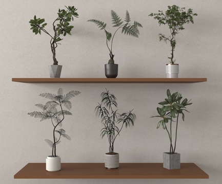  盆栽 盆景 绿植 植物3d模型 