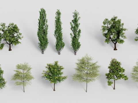  景观树乔木3d模型 