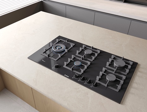  现代灶台 燃气灶 电器 五头 厨房用品3d模型 