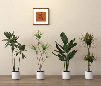  盆栽 盆景 绿植 植物su模型 