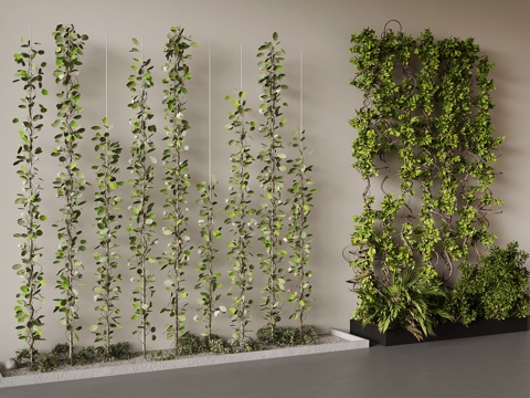  现代绿植 爬山虎3d模型 