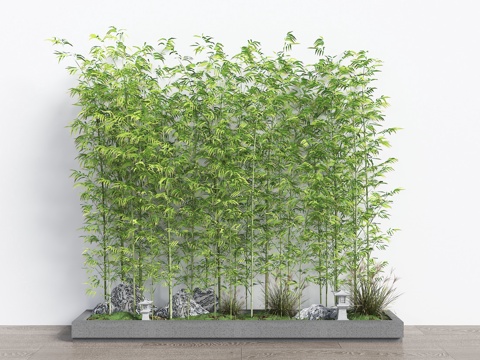  现代竹子  竹子盆栽 景观竹3d模型 