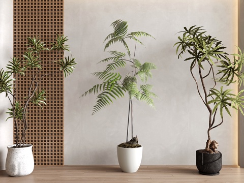  现代中古绿植盆栽 盆景su模型 